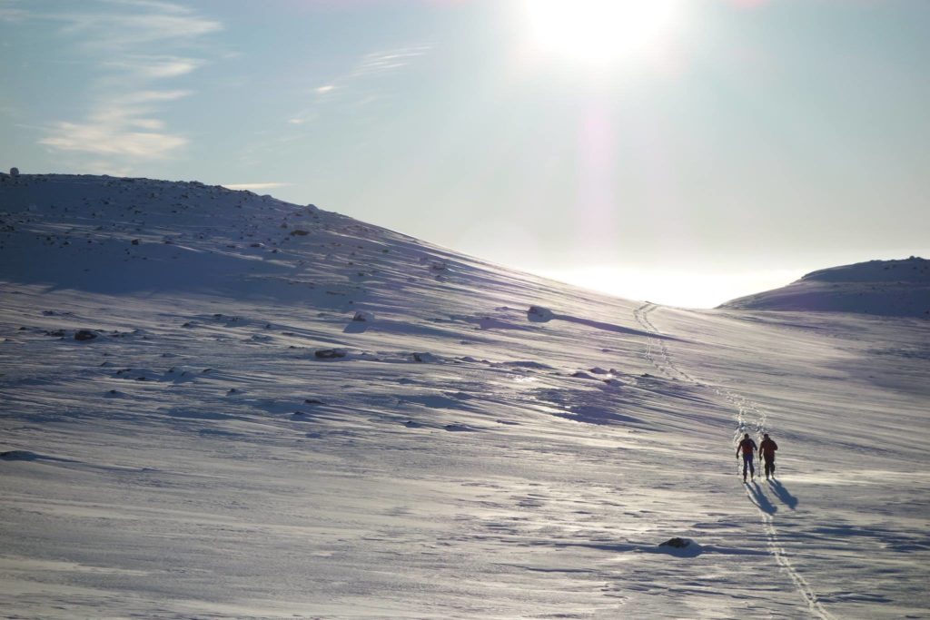 Fjellpuls – Ski Touring & Climbing